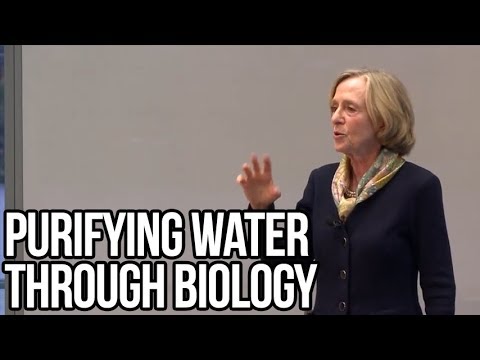 Purifying Water Through Biology (2:24)