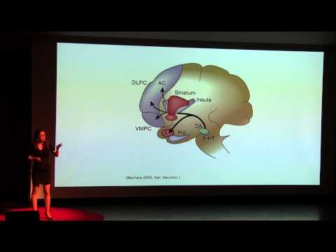 The Brain Is Our Last Frontier and Consciousness Is Expanding | Dr. Heather Berlin