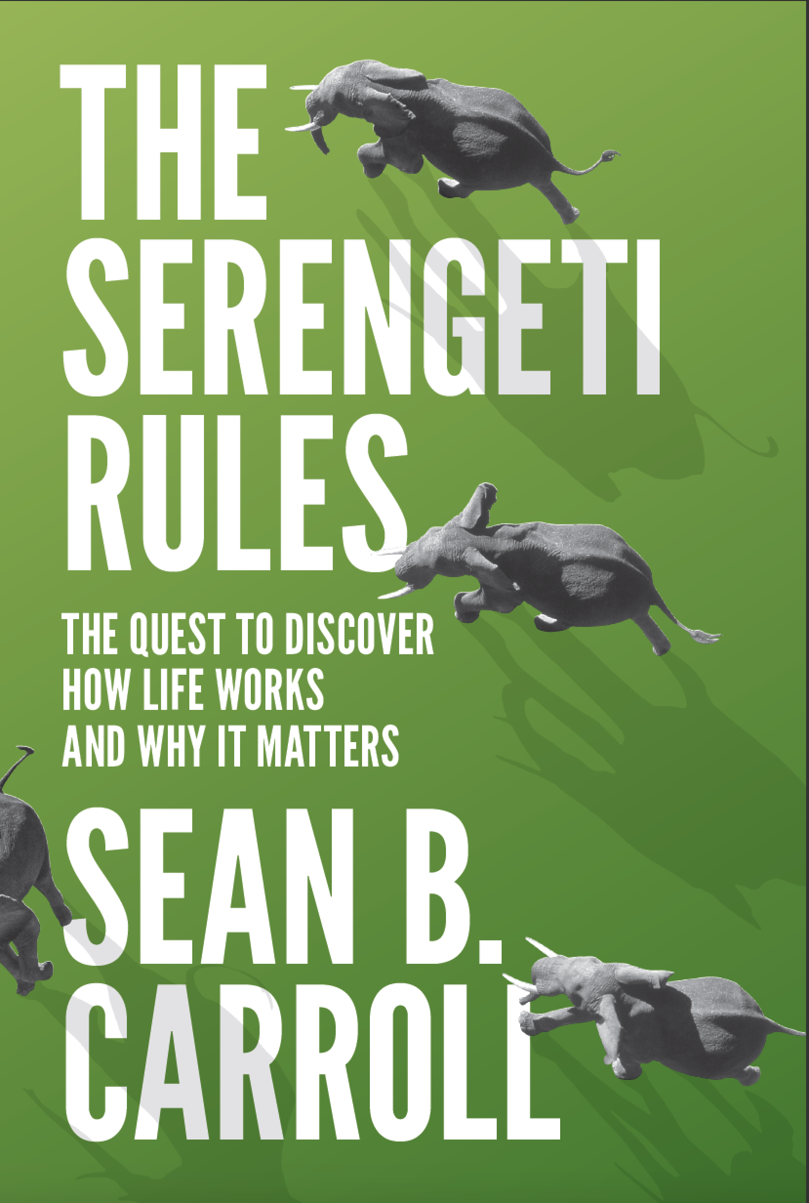 The Serengeti Rules