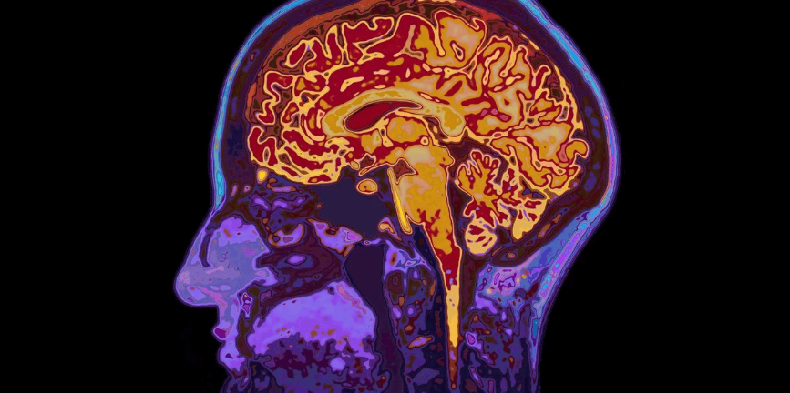 The future of brain science