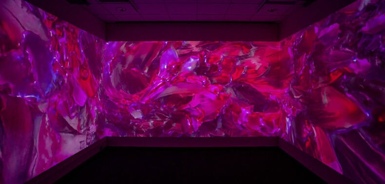 Nancy Baker Cahill Bridges Physical and Virtual Worlds Through Augmented Reality Artwork