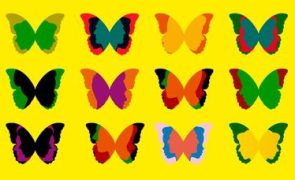 4329738902705760-butterfly.one-third.jpg