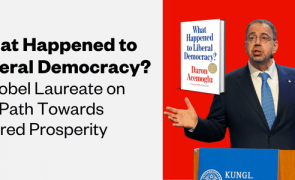 daron acemoglu new book banner nl w cover